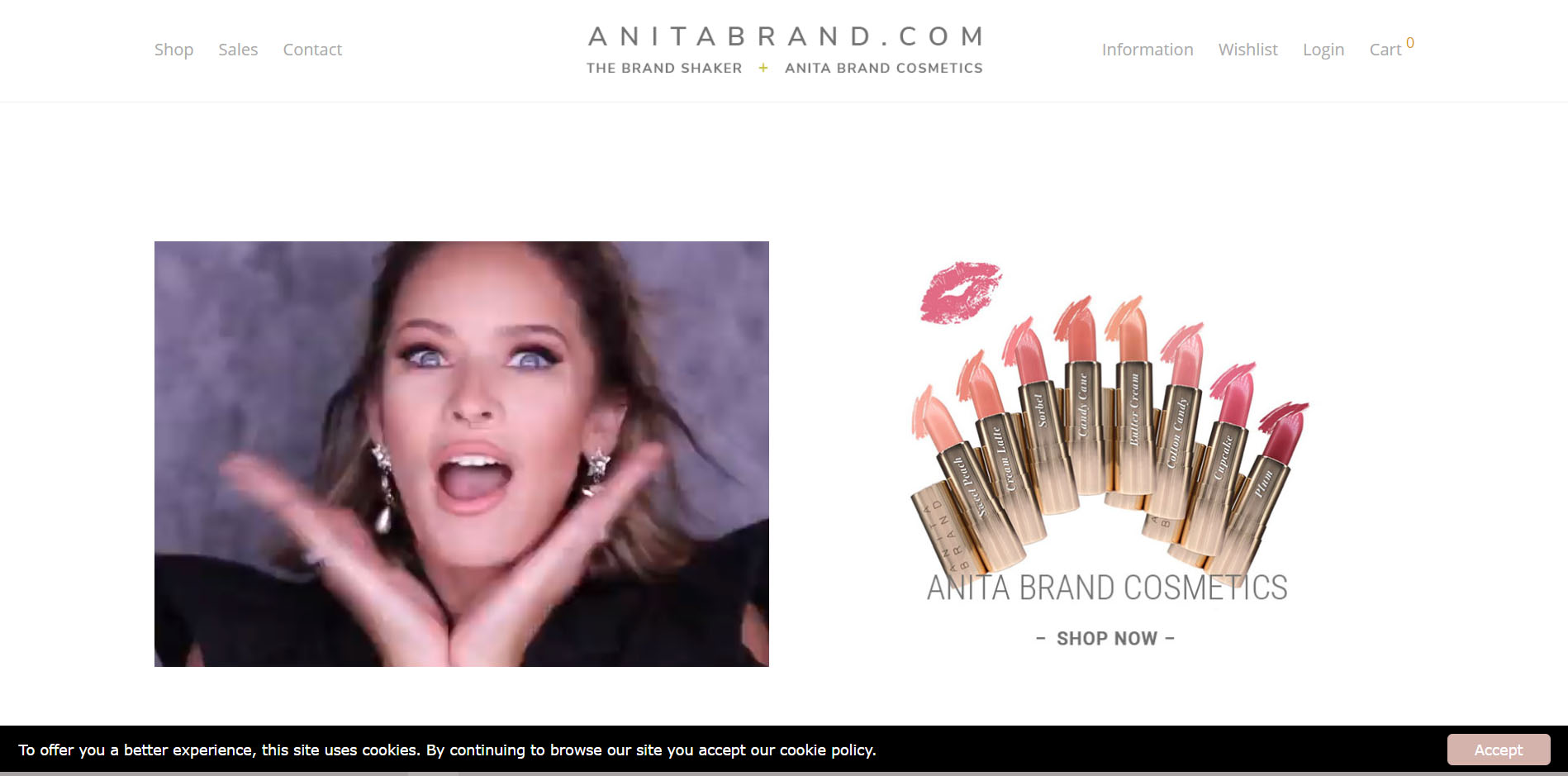 Γυναικεία σκουλαρίκια Anita Brand